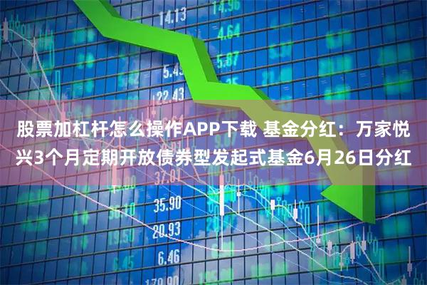 股票加杠杆怎么操作APP下载 基金分红：万家悦兴3个月定期开放债券型发起式基金6月26日分红