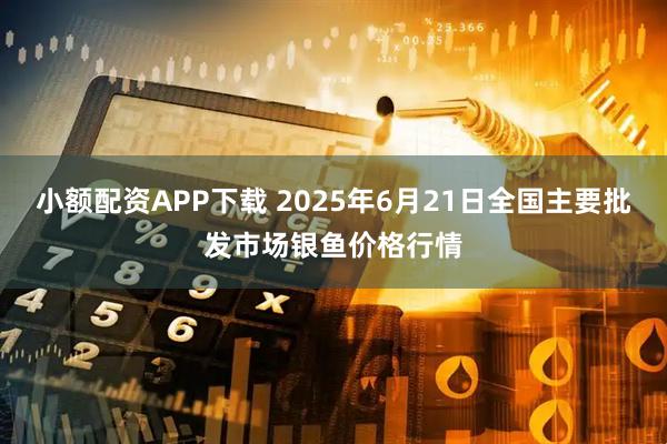 小额配资APP下载 2025年6月21日全国主要批发市场银鱼价格行情