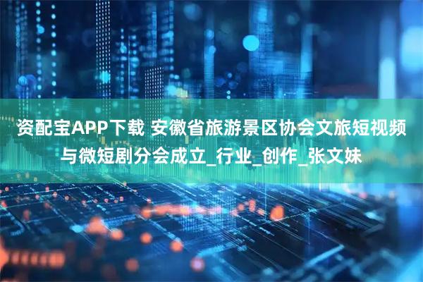 资配宝APP下载 安徽省旅游景区协会文旅短视频与微短剧分会成立_行业_创作_张文妹