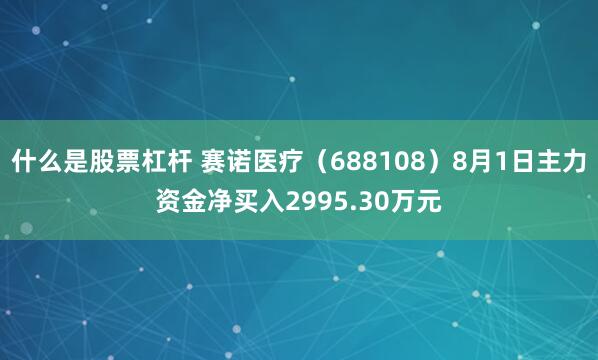 什么是股票杠杆 赛诺医疗（688108）8月1日主力资金净买入2995.30万元