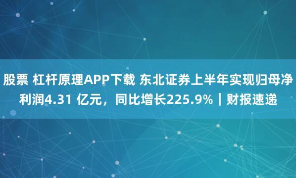 股票 杠杆原理APP下载 东北证券上半年实现归母净利润4.31 亿元，同比增长225.9%｜财报速递
